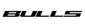 Bulls Logo